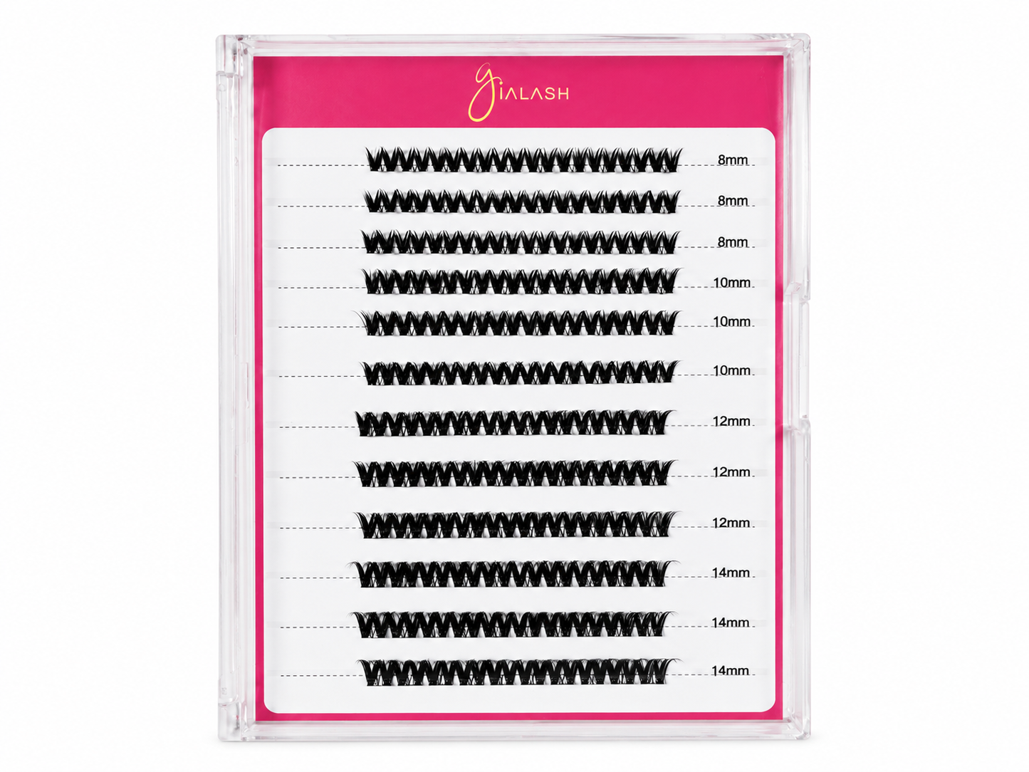 GLAM VOLUME - TRAY 12 ROWS