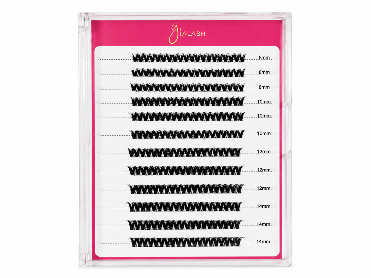 GLAM VOLUME - TRAY 12 ROWS